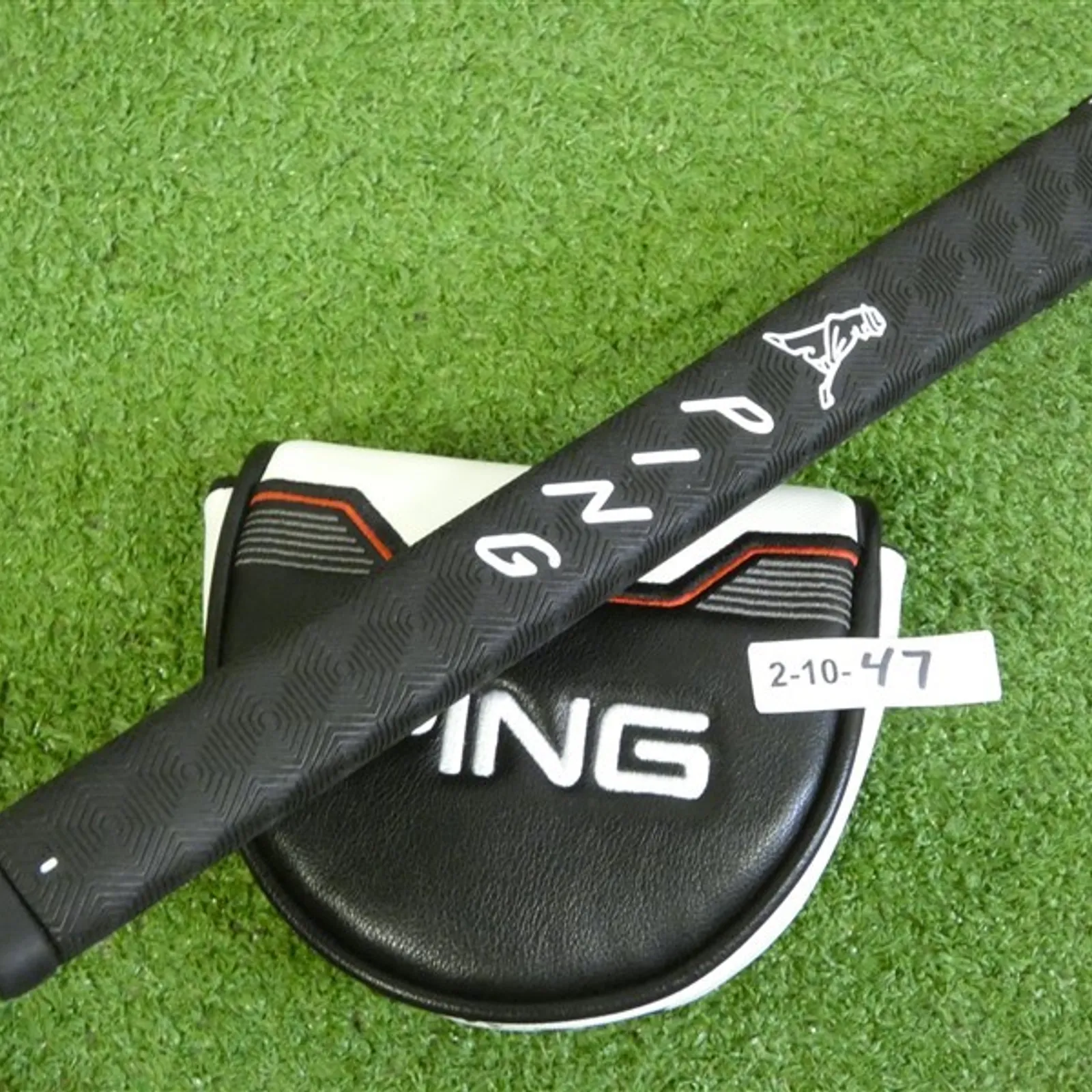 Ping 2021 Fetch 34