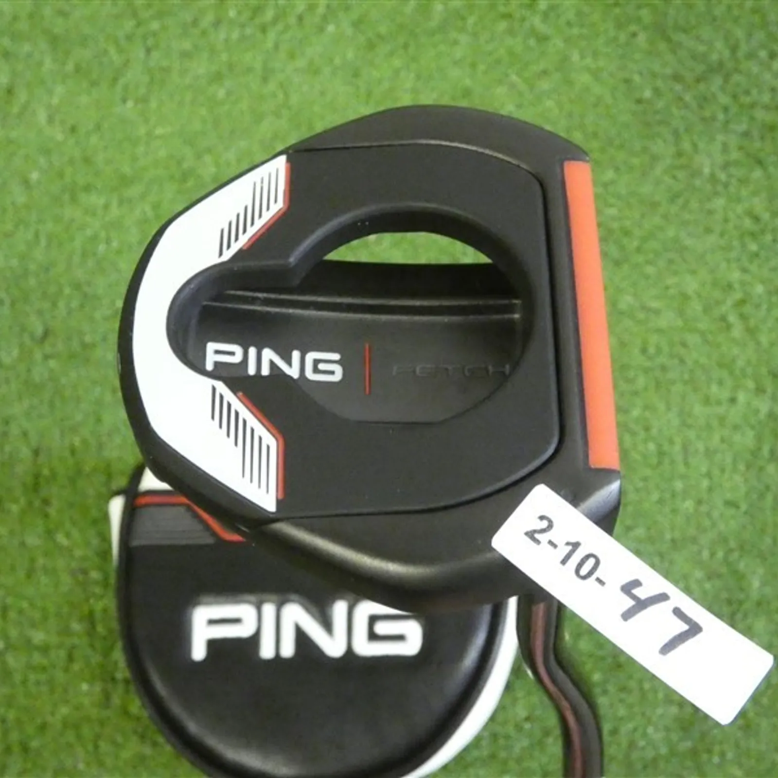 Ping 2021 Fetch 34