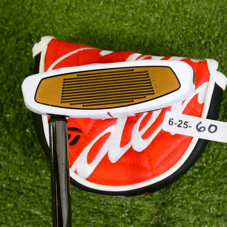 TaylorMade Spider FCG パター 34インチ TaylorMade Spider FCG 34