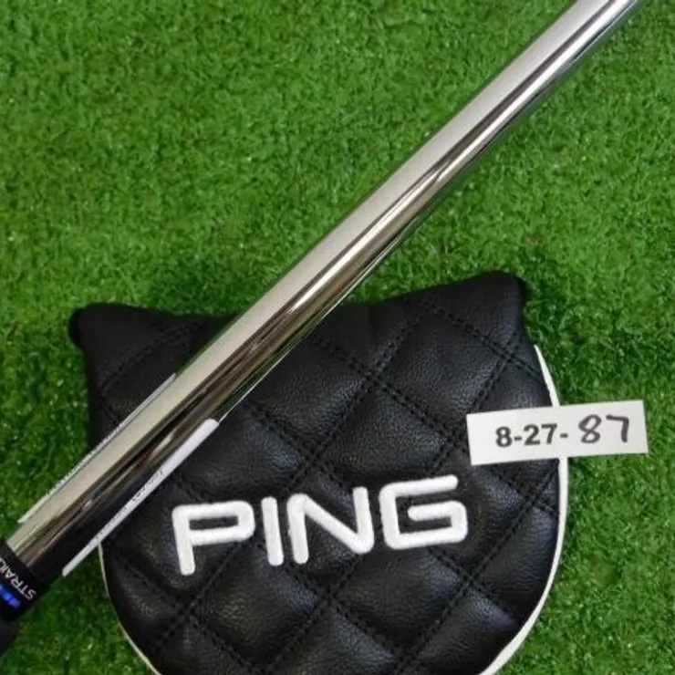 PING - Na $_12.JPG?set_id=880000500F