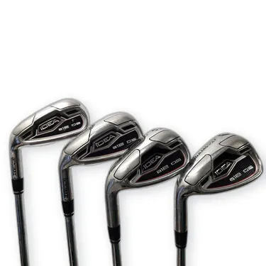 Mizuno Pro 245 Iron Set 7 Clubs Dynamic Gold X100 Steel Shaft X